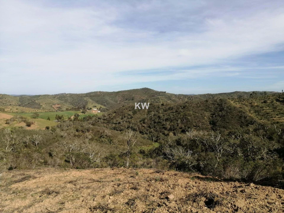 Terreno para Venda em Saboia Foto 8