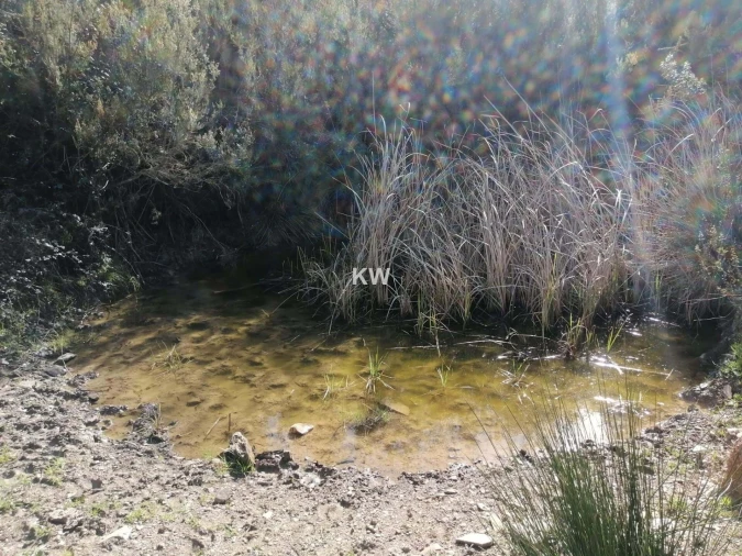 Terreno para Venda em Saboia Foto 4