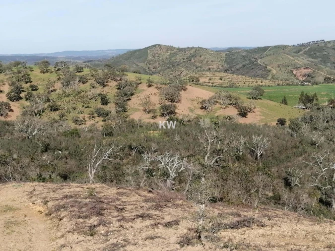 Terreno para Venda em Saboia Foto 9