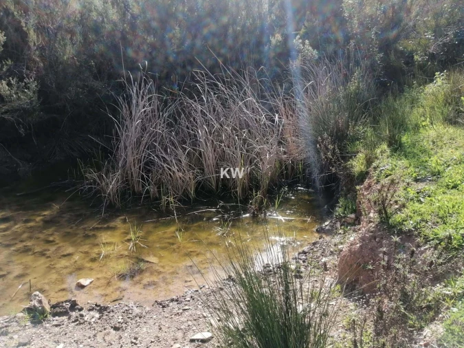 Terreno para Venda em Saboia Foto 5