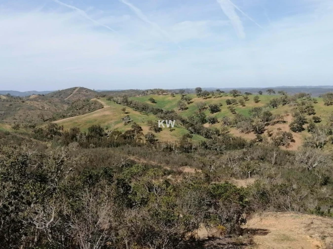 Terreno para Venda em Saboia Foto 3