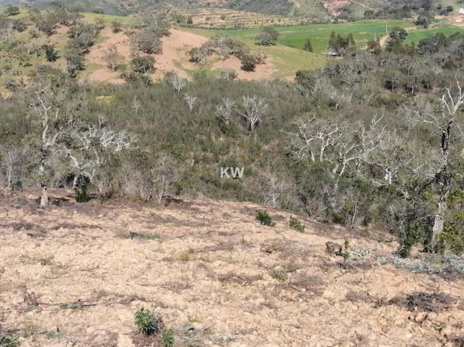 Terreno para Venda em Saboia