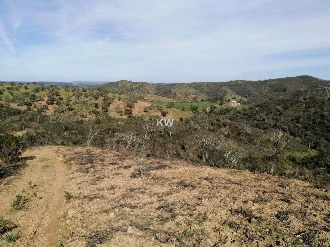 Terreno para Venda em Saboia Foto 7