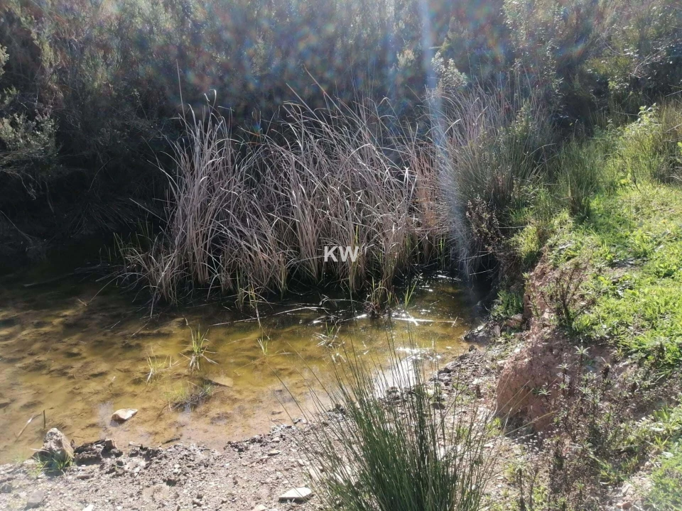 Terreno para Venda em Saboia Foto 5