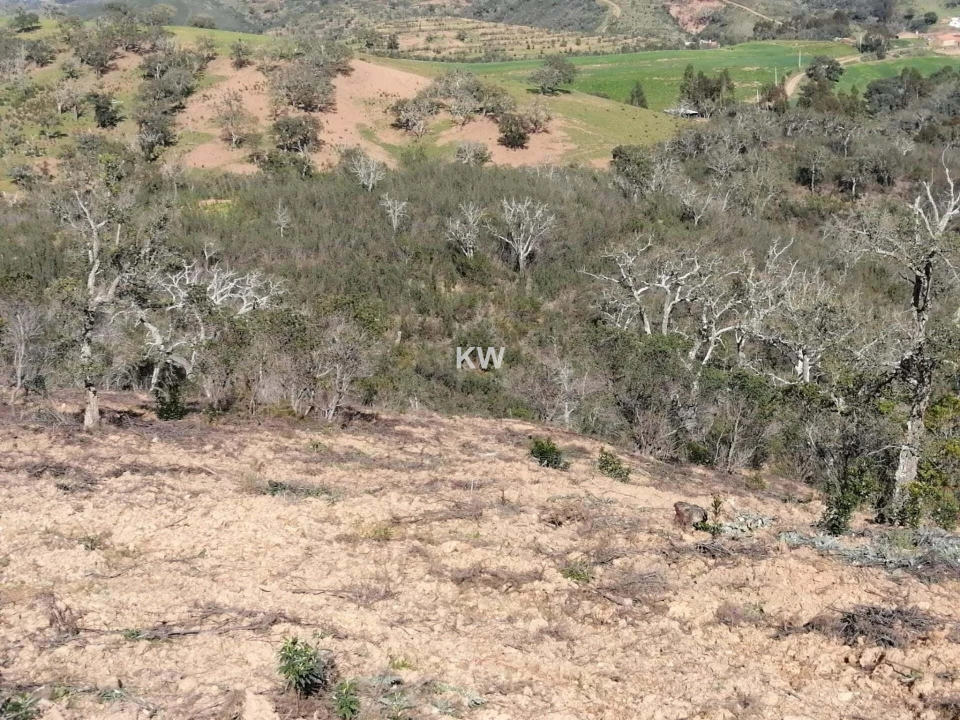 Terreno para Venda em Saboia Foto 1