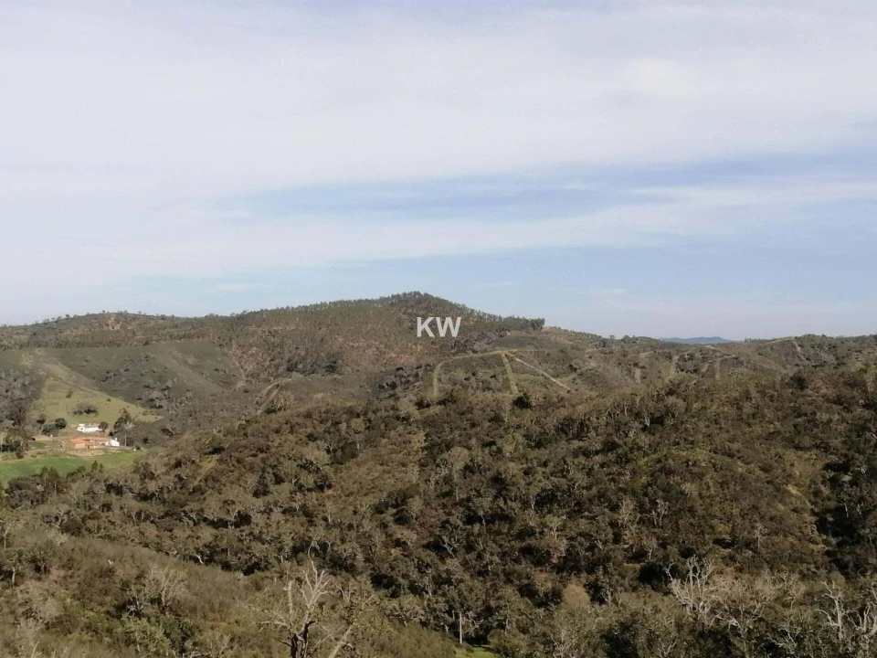 Terreno para Venda em Saboia Foto 2