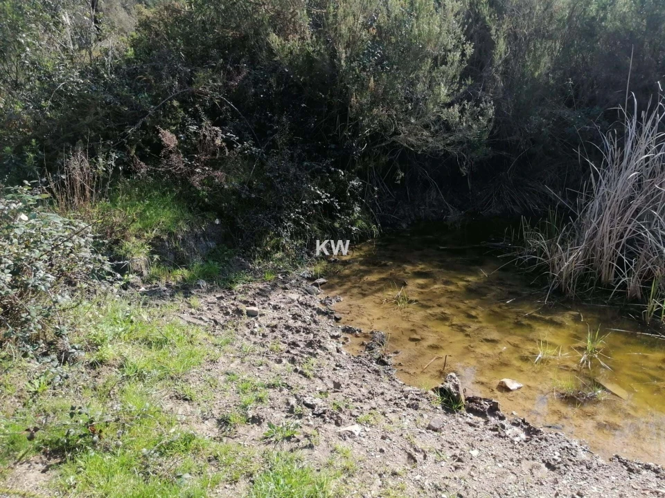 Terreno para Venda em Saboia Foto 6