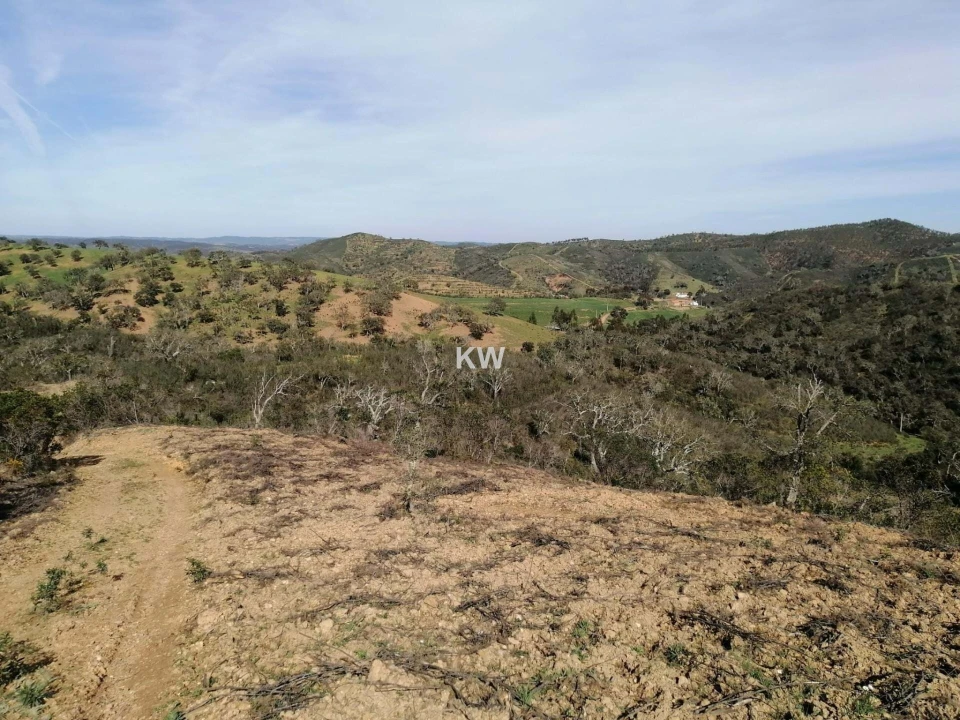 Terreno para Venda em Saboia Foto 7