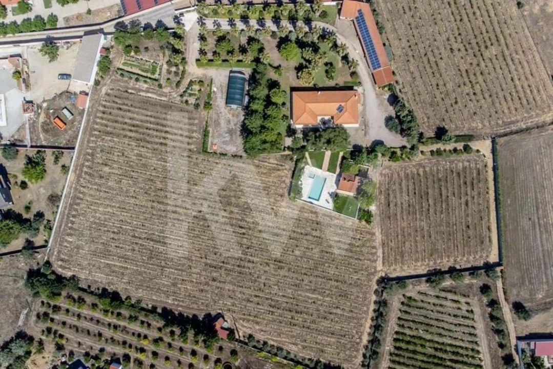 Quinta T5 para Venda em Vidigueira Foto 66