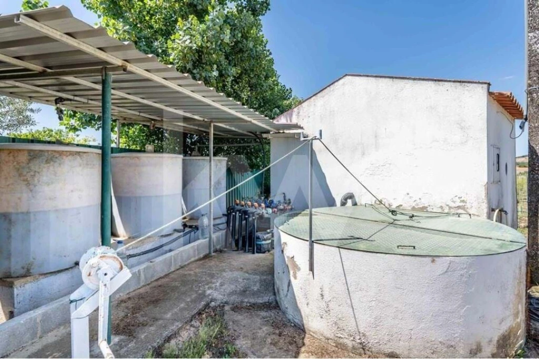 Quinta T5 para Venda em Vidigueira Foto 65