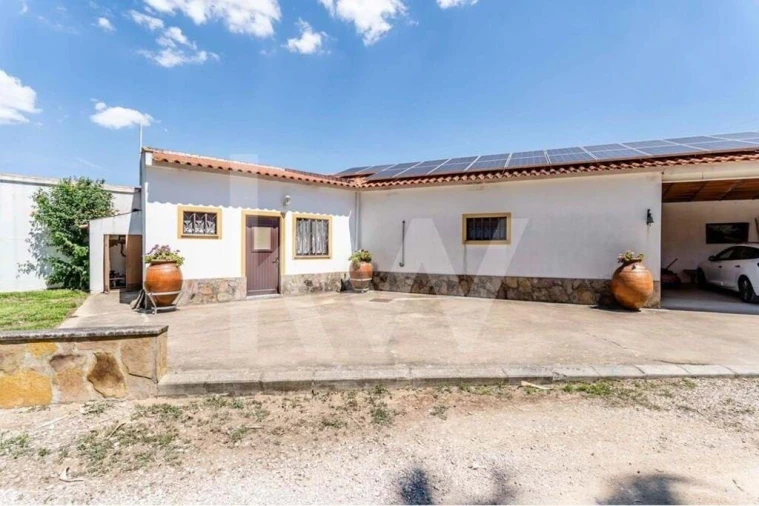 Quinta T5 para Venda em Vidigueira Foto 51