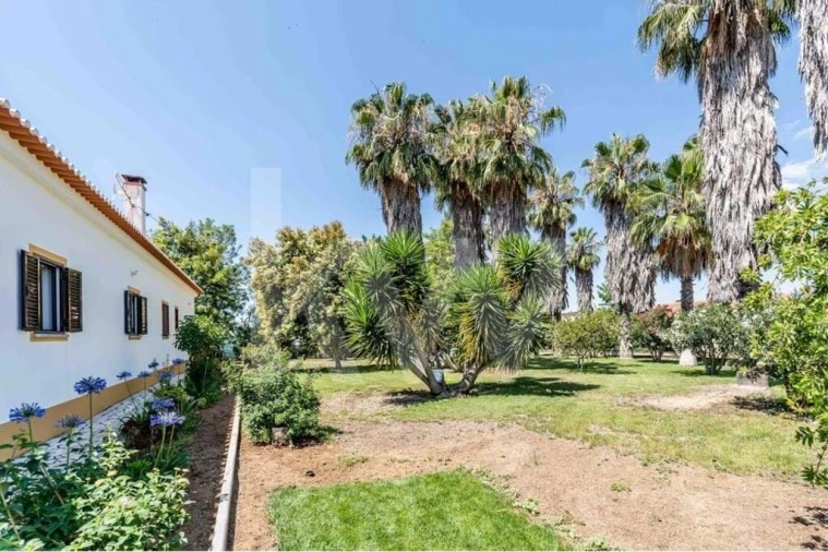 Quinta T5 para Venda em Vidigueira Foto 15