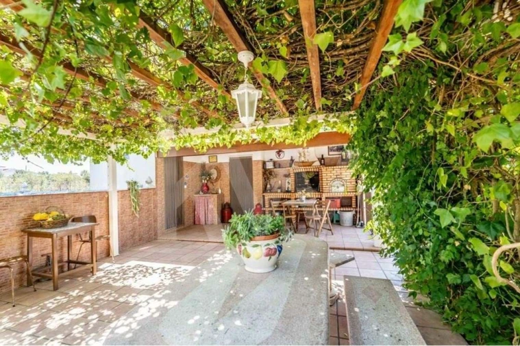 Quinta T5 para Venda em Vidigueira Foto 4