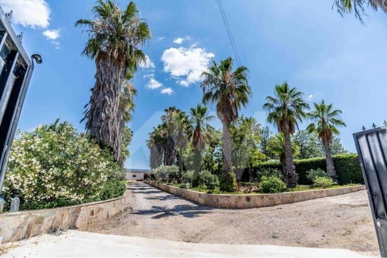 Quinta T5 para Venda em Vidigueira Foto 17