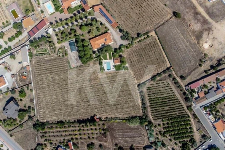 Quinta T5 para Venda em Vidigueira Foto 68