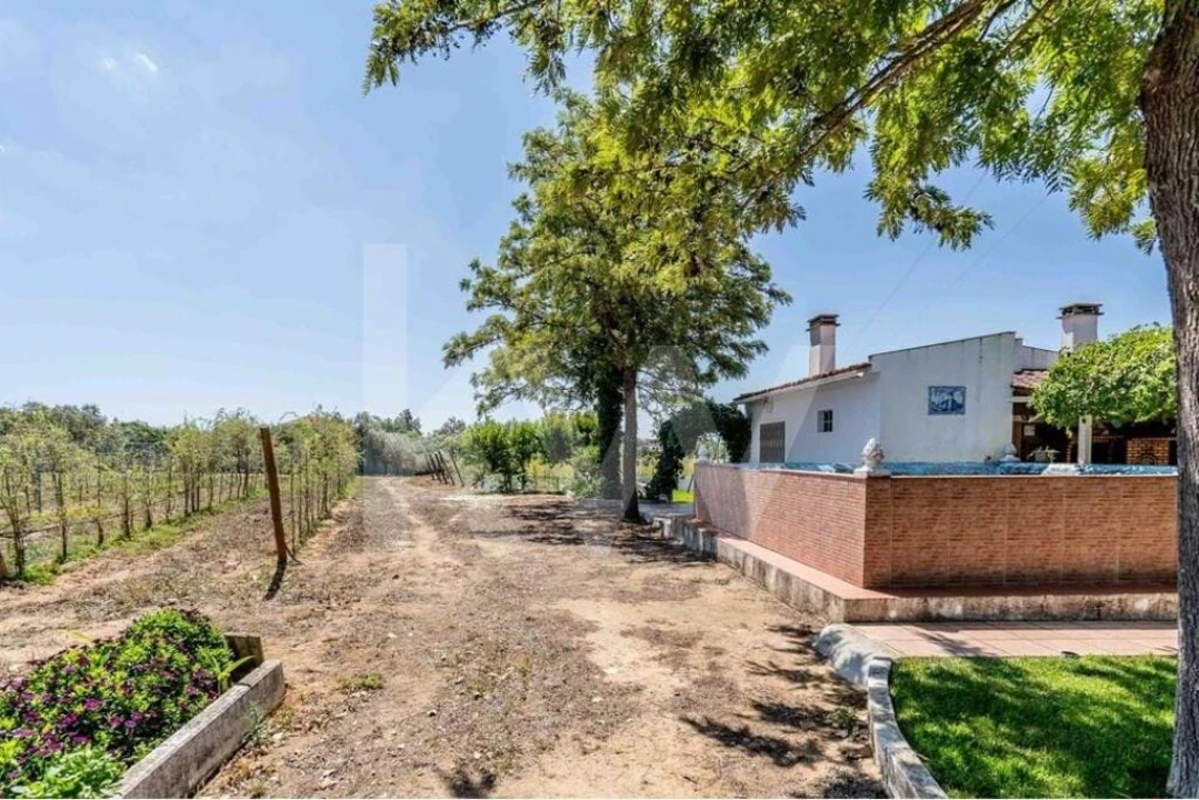 Quinta T5 para Venda em Vidigueira Foto 63