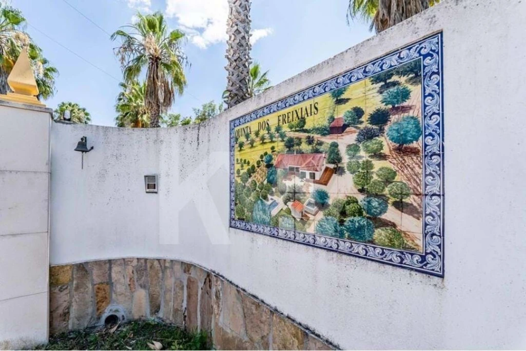 Quinta T5 para Venda em Vidigueira Foto 16