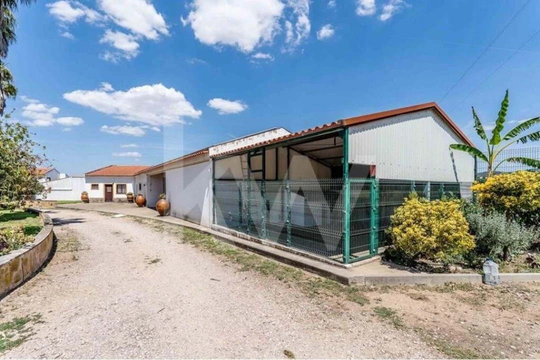 Quinta T5 para Venda em Vidigueira Foto 50