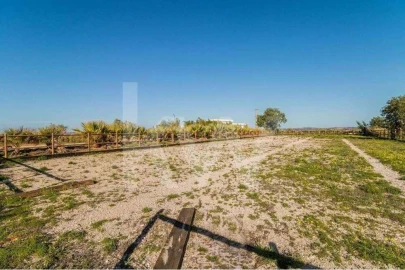 Moradia T5 para Venda em Guia