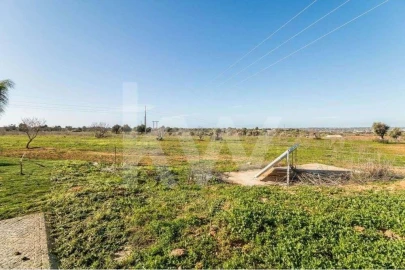 Moradia T5 para Venda em Guia