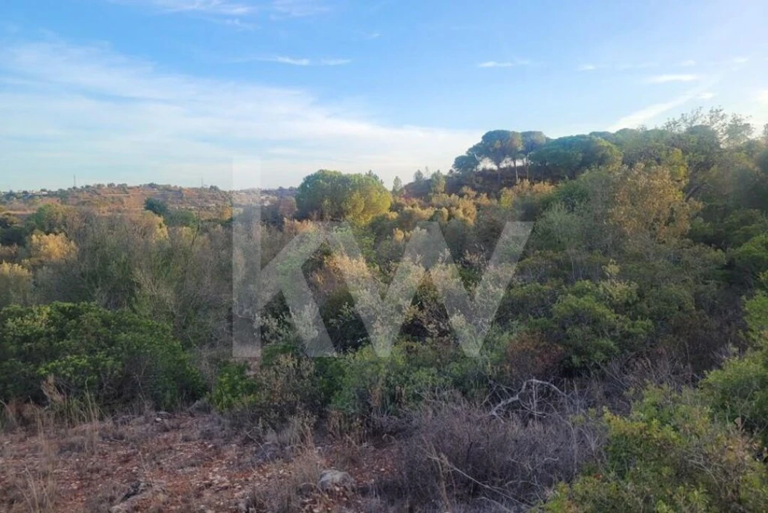 Terreno para Venda em Paderne Foto 4