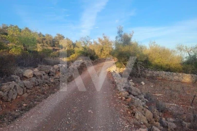 Terreno para Venda em Paderne