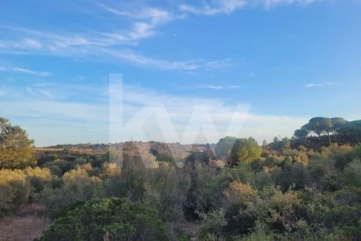 Terreno para Venda em Paderne