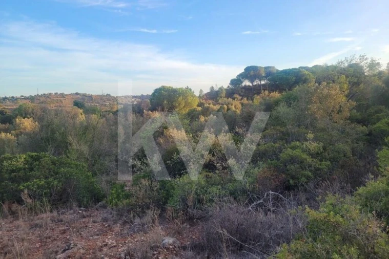 Terreno para Venda em Paderne Foto 4