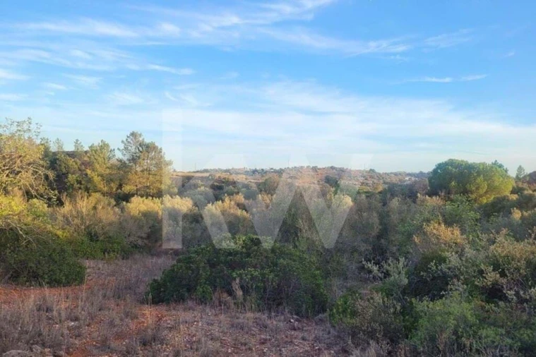 Terreno para Venda em Paderne Foto 2