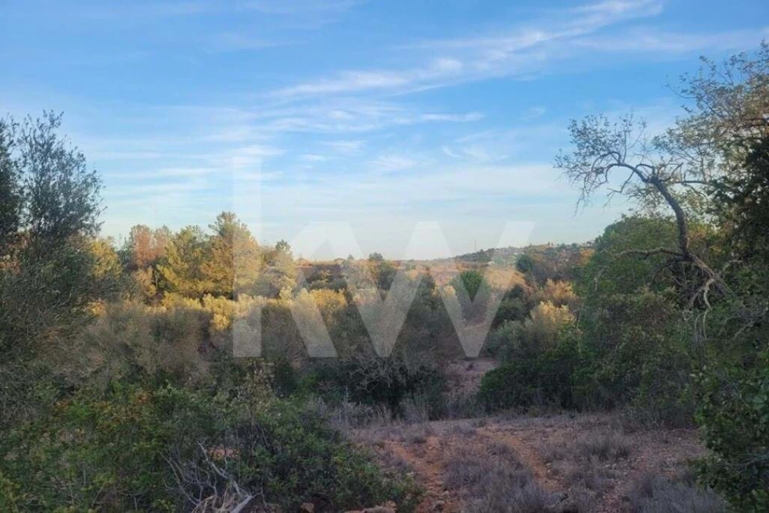 Terreno para Venda em Paderne Foto 6
