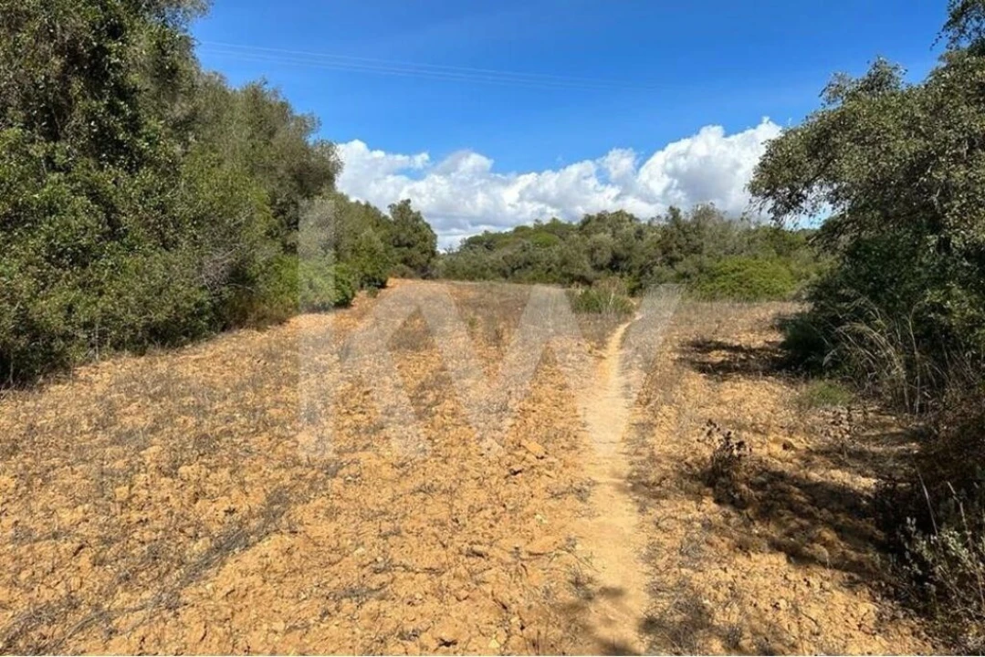 Terreno para Venda em Lagoa e Carvoeiro Foto 3