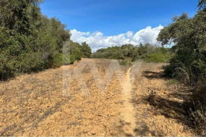 Terreno para Venda em Lagoa e Carvoeiro