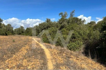 Terreno para Venda em Lagoa e Carvoeiro