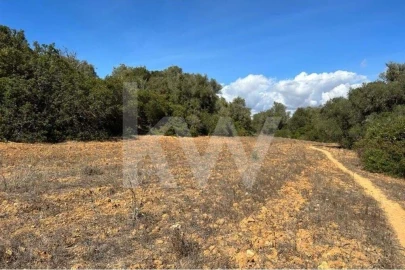 Terreno para Venda em Lagoa e Carvoeiro