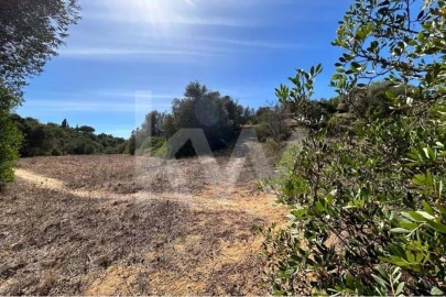 Terreno para Venda em Lagoa e Carvoeiro