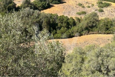 Terreno para Venda em Lagoa e Carvoeiro