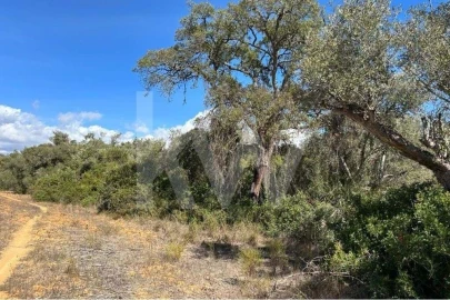 Terreno para Venda em Lagoa e Carvoeiro