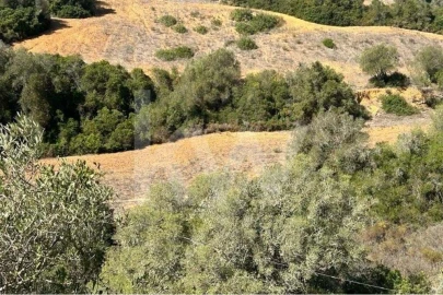 Terreno para Venda em Lagoa e Carvoeiro