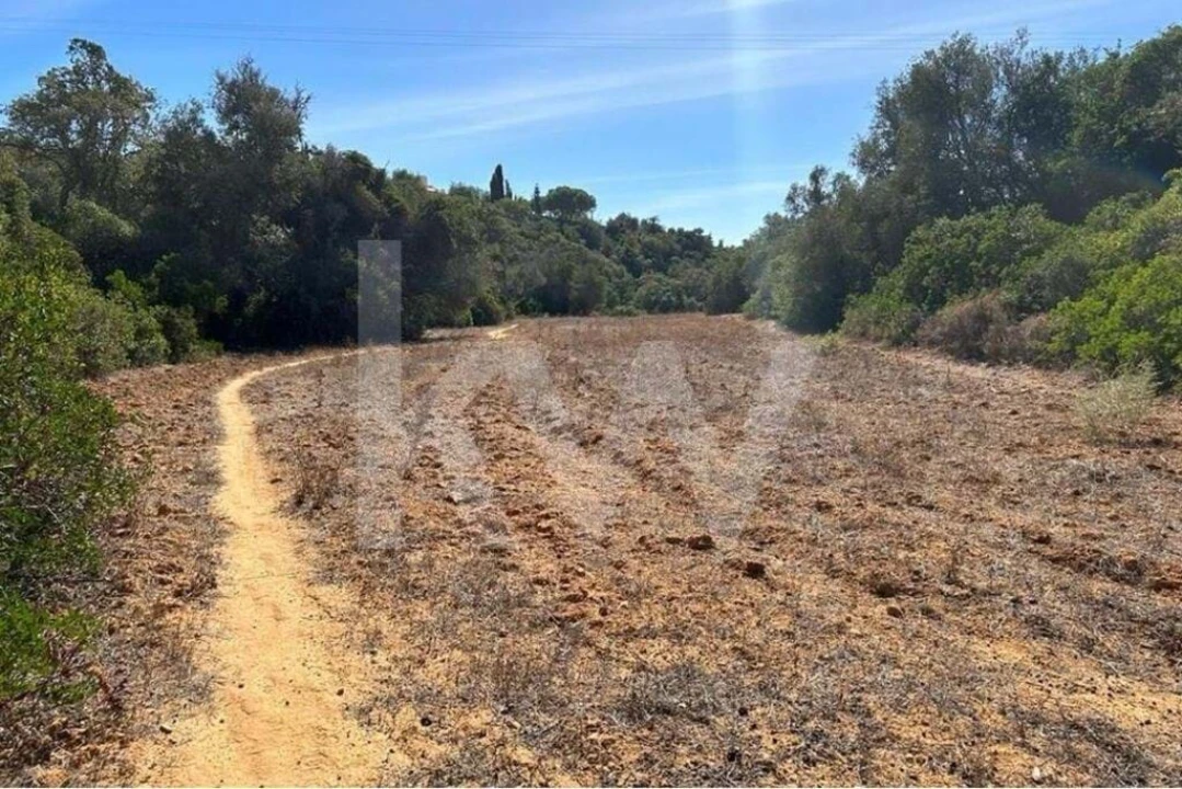Terreno para Venda em Lagoa e Carvoeiro Foto 7