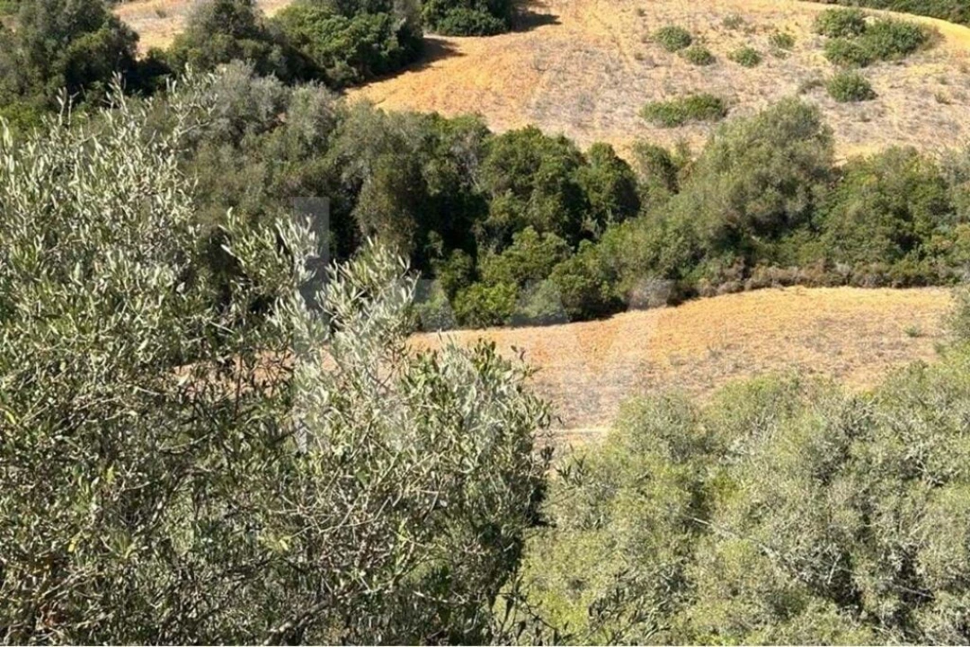 Terreno para Venda em Lagoa e Carvoeiro Foto 14