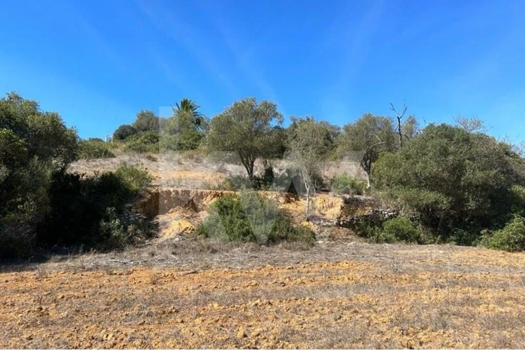 Terreno para Venda em Lagoa e Carvoeiro Foto 9