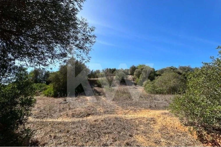 Terreno para Venda em Lagoa e Carvoeiro Foto 11