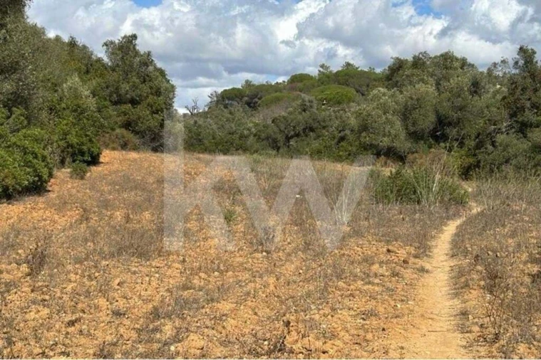 Terreno para Venda em Lagoa e Carvoeiro Foto 4