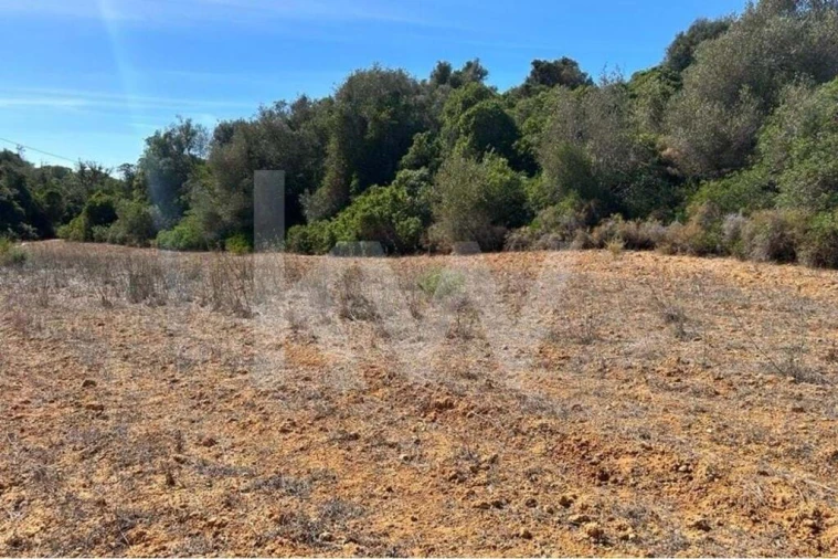 Terreno para Venda em Lagoa e Carvoeiro Foto 13