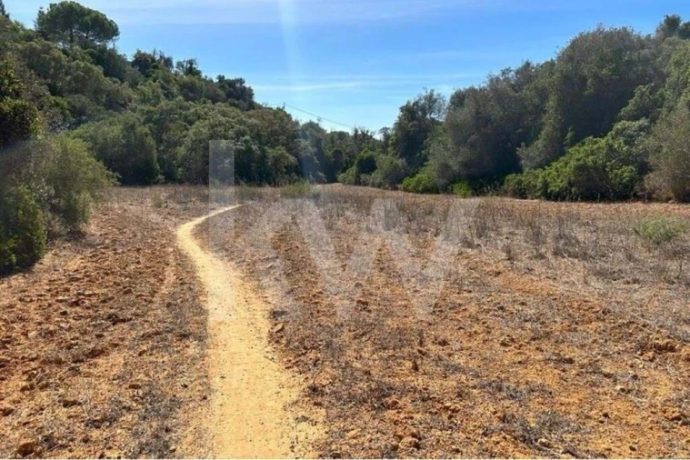 Terreno para Venda em Lagoa e Carvoeiro Foto 5