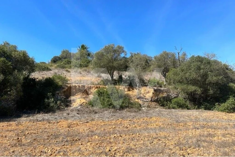 Terreno para Venda em Lagoa e Carvoeiro Foto 9