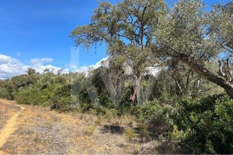 Terreno para Venda em Lagoa e Carvoeiro Foto 10