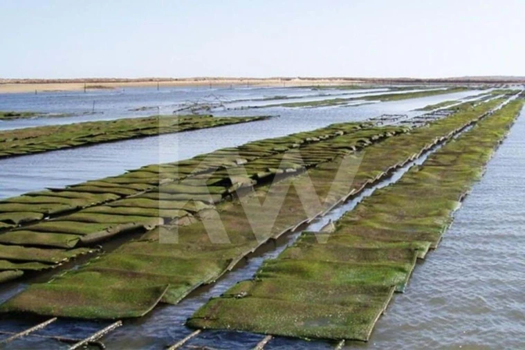 Moradia T3 para Venda em Odiaxere Foto 19