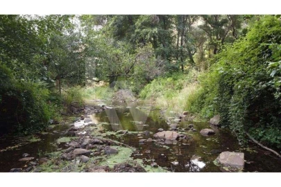 Quinta T2 para Venda em Monchique