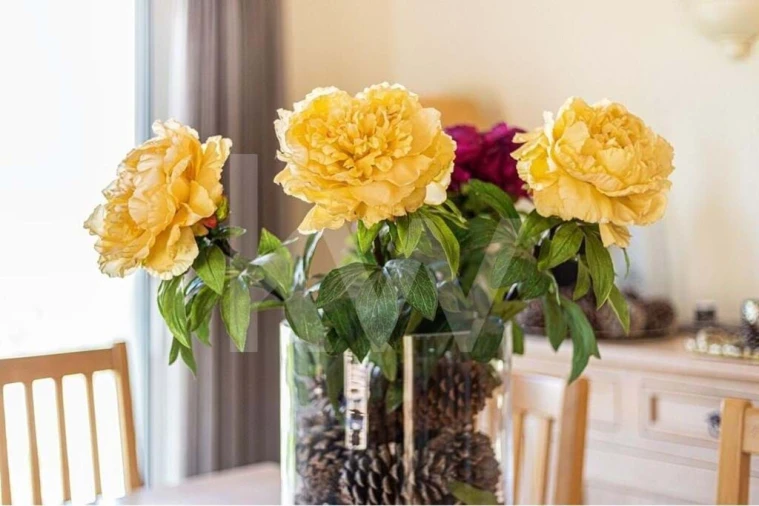 Prédio para Venda em Estômbar e Parchal Foto 9